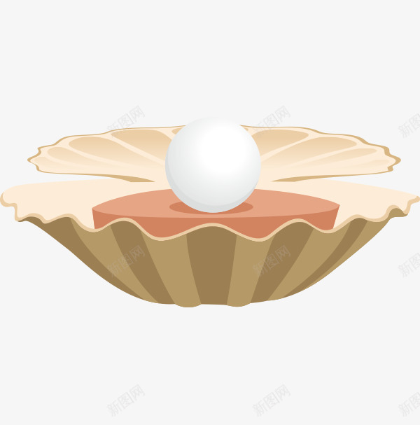 贝壳和珍珠png免抠素材_新图网 https://ixintu.com PNG素材 卡通 珍珠 贝壳