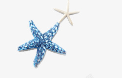 蓝色白色五角星海星贝壳类海素材