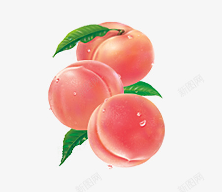 桃子透明片png免抠素材_新图网 https://ixintu.com 桃属植物卡通手绘 水果 水蜜桃 白桃 粉色