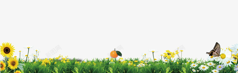 绿色草地花朵边框纹理png免抠素材_新图网 https://ixintu.com 免抠PNG 绿色 花朵 草地 边框纹理