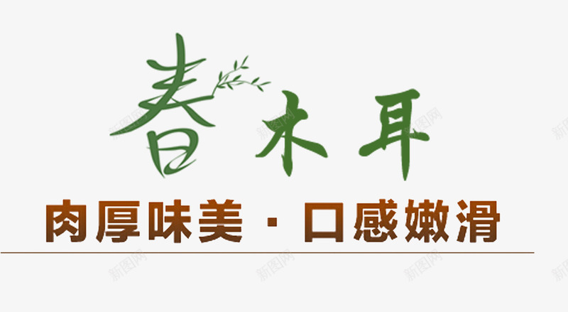 春季木耳png免抠素材_新图网 https://ixintu.com 口感嫩滑 小树枝 当季 新鲜 春季 肉厚味美