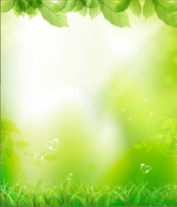 小清新绿色阳光透视下的绿叶素材