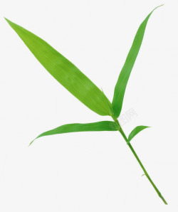 绿色山水竹子装饰翠竹竹叶高清图片