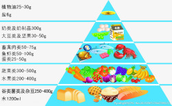 蓝色详细食物金字塔素材