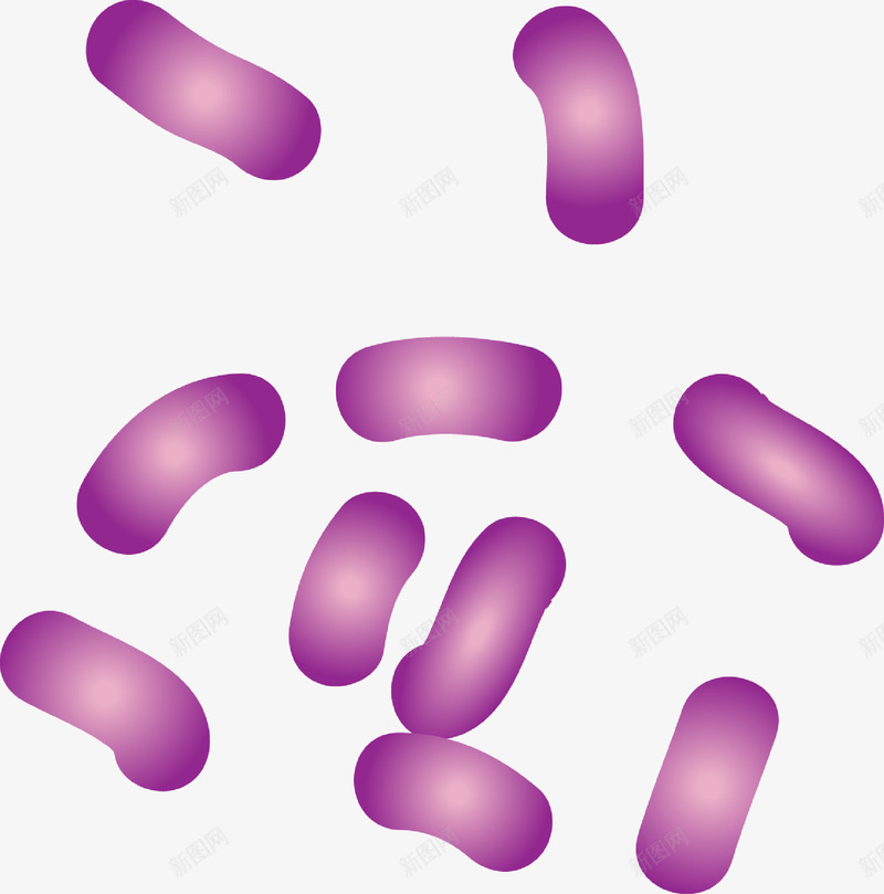 细胞分裂png免抠素材_新图网 https://ixintu.com 显微镜 生物医疗 生物学 生物研究 真菌 细胞 细胞高清大图 细菌 细菌结构 蛋白质细胞