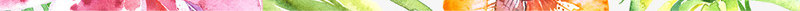 手绘彩色热带植物装配边框png免抠素材_新图网 https://ixintu.com 彩色 植物 热带 装配 边框