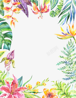 装配手绘彩色热带植物装配边框高清图片