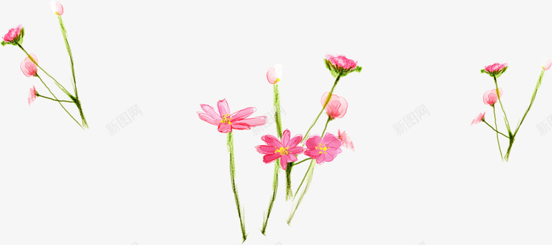 手绘粉色花卉春季插画png免抠素材_新图网 https://ixintu.com 插画 春季 粉色 花卉