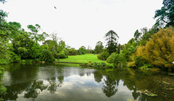 墨尔本墨尔本皇家植物园风景高清图片