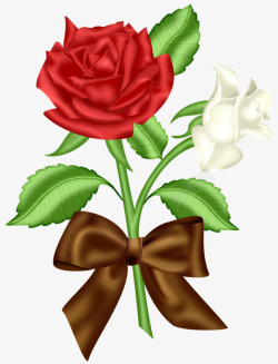 一红一白的玫瑰花素材