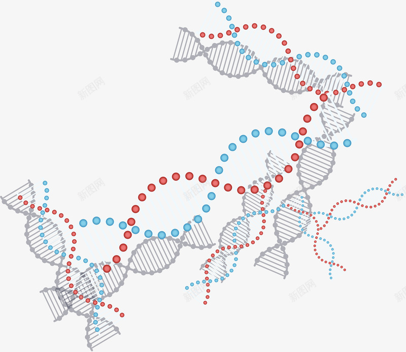 双螺旋分子结构矢量图ai免抠素材_新图网 https://ixintu.com 分子 分子结构 双螺旋 双螺旋分子 生物分子 矢量png 矢量图