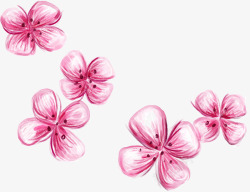 粉色淡雅花朵装饰素材