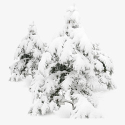 大雪压树枝场景黑白大雪压树枝高清图片