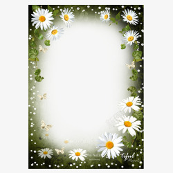 蒲公英白色白色蒲公英花卉相框高清图片