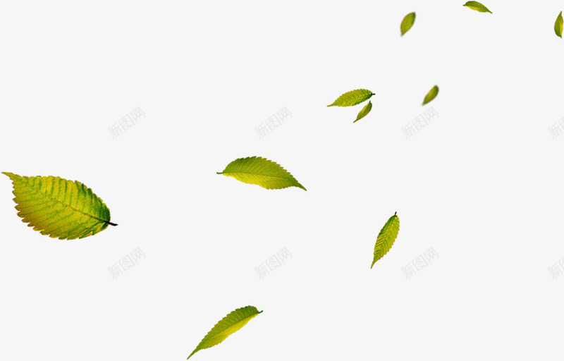 摄影绿色漂浮的树叶png免抠素材_新图网 https://ixintu.com 摄影 树叶 漂浮 绿色