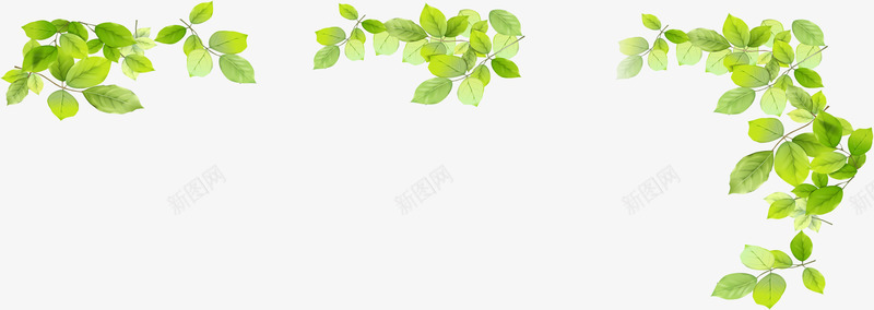 春季清新植物树叶装饰png免抠素材_新图网 https://ixintu.com 春季 树叶 植物 清新 装饰