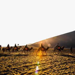 库布齐沙漠景点大西北骆驼高清图片