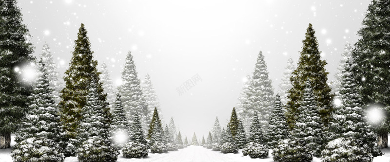 圣诞png免抠素材_新图网 https://ixintu.com 冬天 冬季 松树 树林 雪景