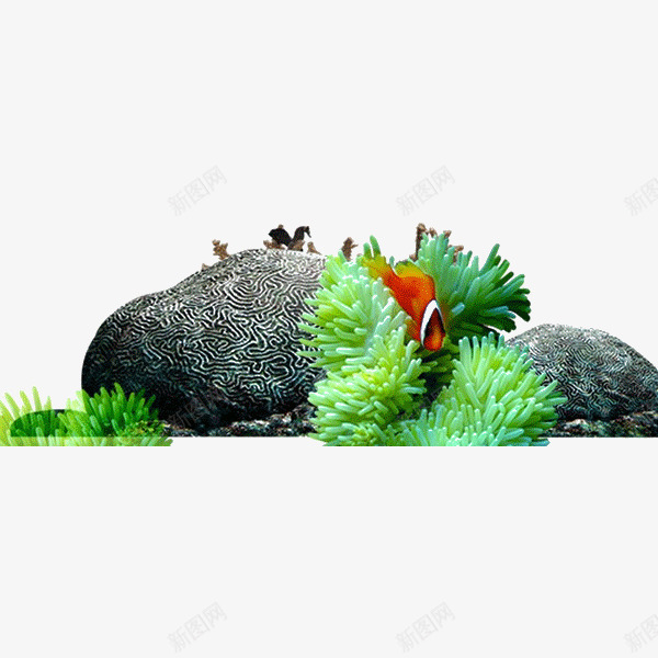海底世界绿藻psd免抠素材_新图网 https://ixintu.com 素材 绿藻 装饰