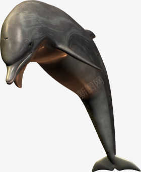 跳跃的灰色鲸鱼png免抠素材_新图网 https://ixintu.com 灰色 素材 跳跃 鲸鱼