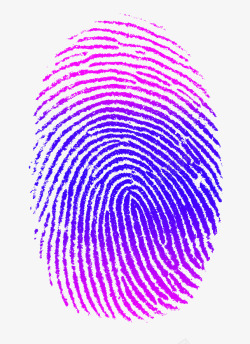 指纹元素紫色指纹高清图片