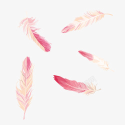 粉红色粉红色羽毛绘画矢量图高清图片