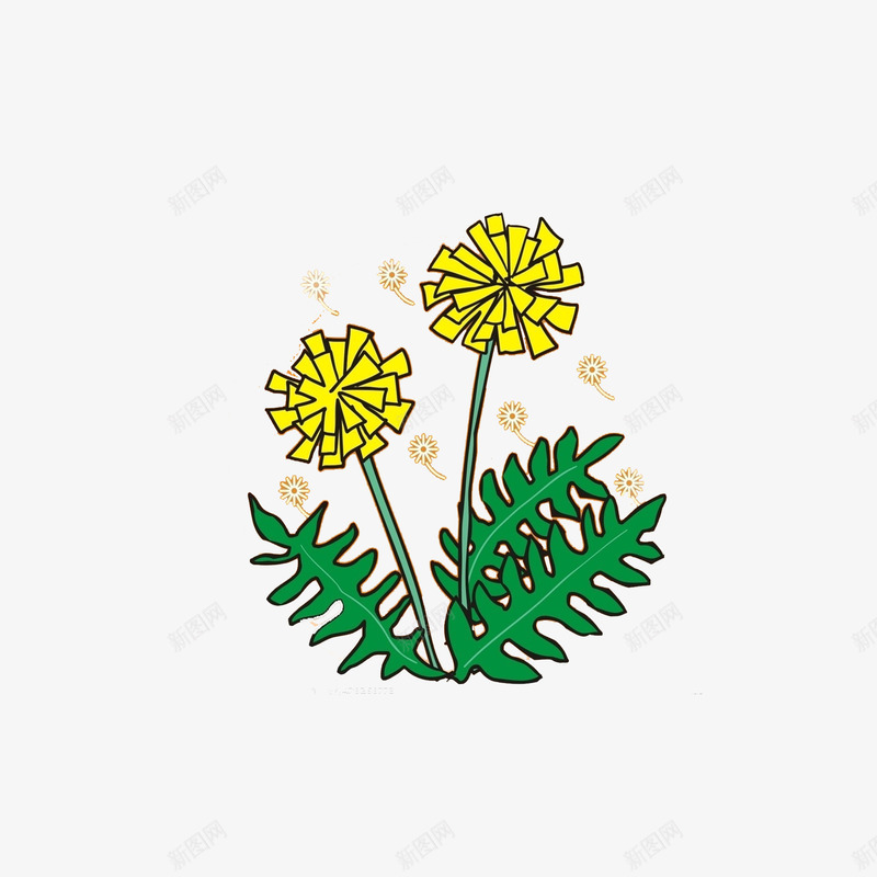 手绘菊花png免抠素材_新图网 https://ixintu.com 卡通 植物 重阳节