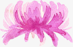 水彩墨菊花花朵素材