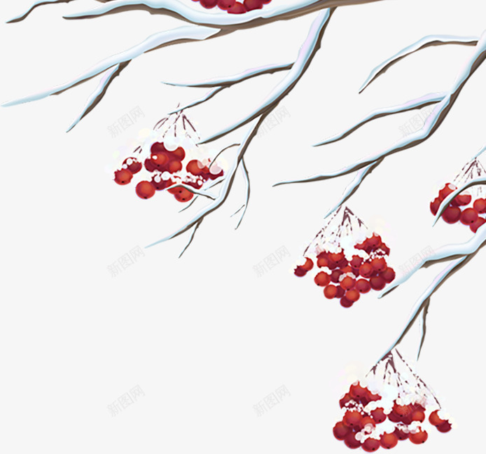 白色冬季积雪树枝png免抠素材_新图网 https://ixintu.com 冬天 冬季 枝条 白色树枝 花枝植物 装饰图案