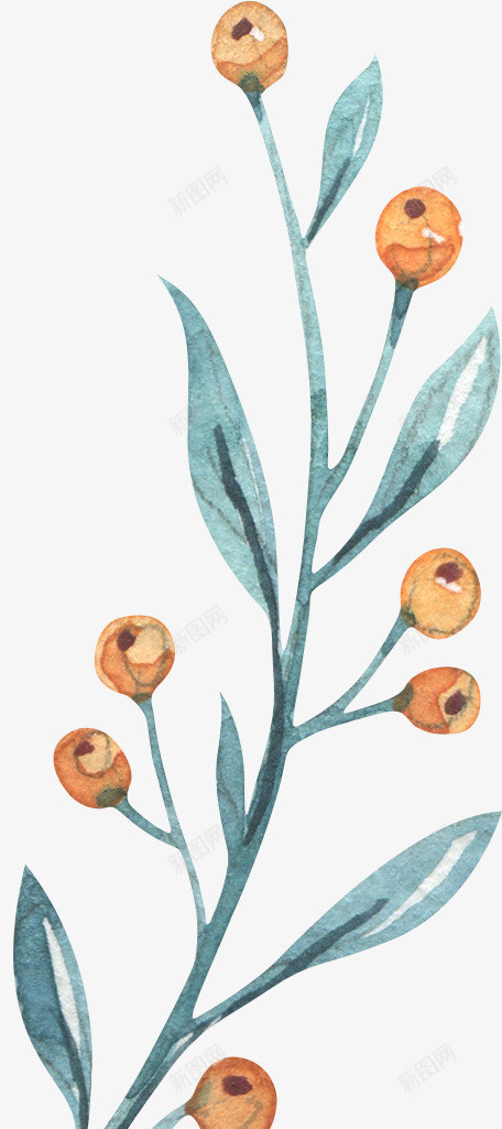 小草植物手绘卡通水彩风png免抠素材_新图网 https://ixintu.com 卡通 手绘 植物 水彩风 鲜嫩的小草