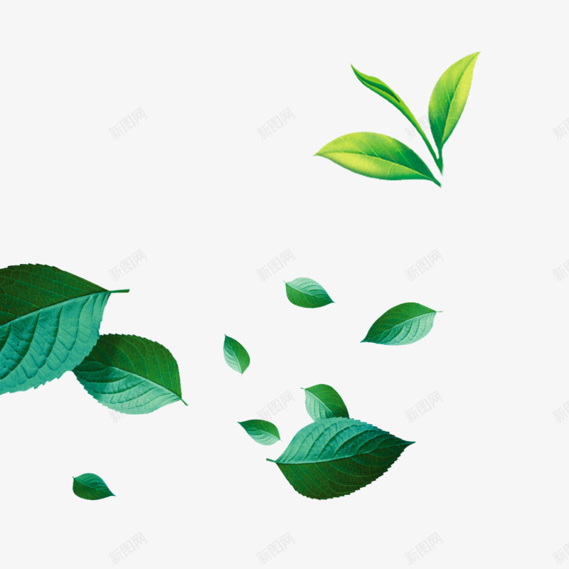 绿色树叶装饰图png免抠素材_新图网 https://ixintu.com 树叶 树叶装饰 绿色 绿色树叶