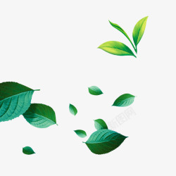 绿色树叶装饰图素材