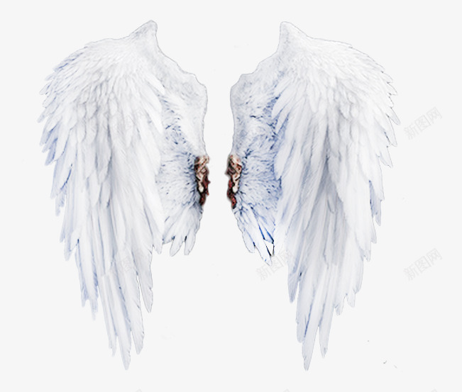 白色的翅膀片png免抠素材_新图网 https://ixintu.com 天使的翅膀图片 天使羽翼 洁白的翅膀 漂亮的翅膀图片 装潢四图片翅膀