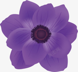 春天紫色花素材
