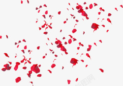 散落红色花瓣素材