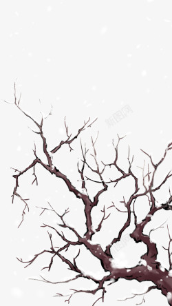 树枝雪地雪天的树枝手绘高清图片