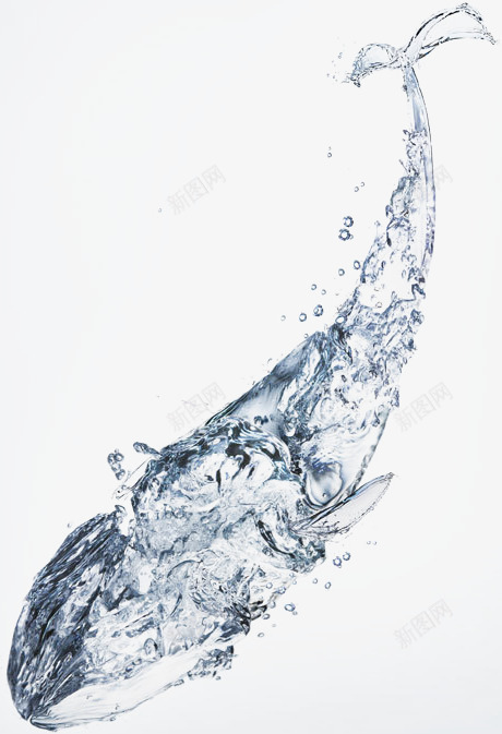 水做的鲸鱼png免抠素材_新图网 https://ixintu.com 水做动物 水润保湿 鲸鱼 鲸鱼插图