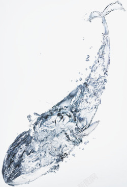 水润保湿水做的鲸鱼高清图片
