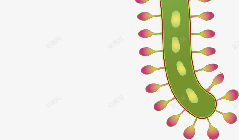 绿色细菌弯曲细胞矢量图ai免抠素材_新图网 https://ixintu.com 创意 卡通 弯曲 微生物 手绘 水彩 淋巴 生物结构 细胞 细胞结构 结构细胞 设计 矢量图