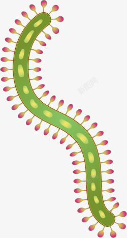 绿色细菌弯曲细胞矢量图素材