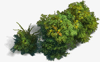 绿色植物png免抠素材_新图网 https://ixintu.com 场景 大自然风景 树叶 植物 植被 游戏场景 游戏素材 绿色 绿色植物 自然 风景