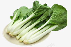 小白菜蔬菜青菜奶白菜高清图片