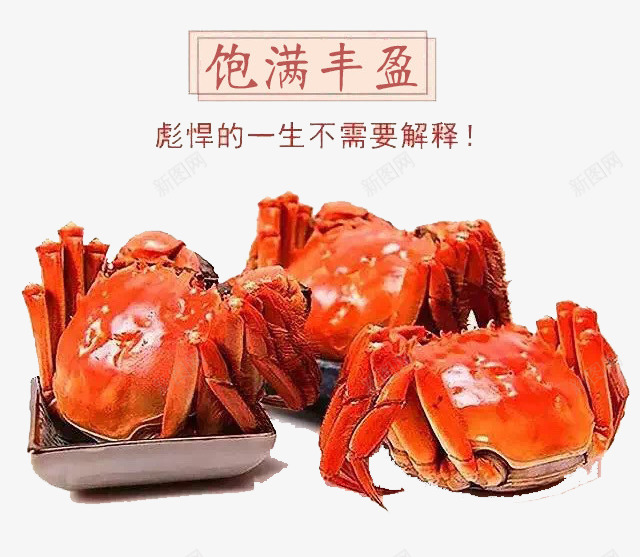 大闸蟹png免抠素材_新图网 https://ixintu.com 海鲜 美味 螃蟹 蟹子 饱满丰盈