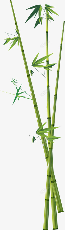 翠绿的竹子翠绿色竹子手绘高清图片