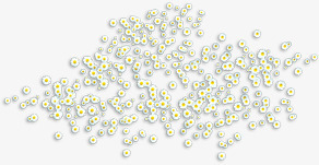 春季清新白色雏菊装饰png免抠素材_新图网 https://ixintu.com 春季 清新 白色 装饰