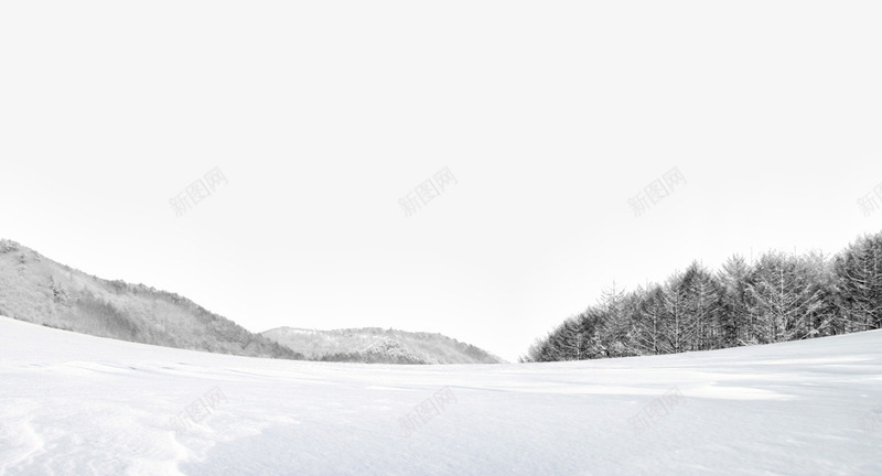 白色的雪景png免抠素材_新图网 https://ixintu.com 冬天 冬季 冬季素材 树林 白色背景素材 雪地 雪山 雪花