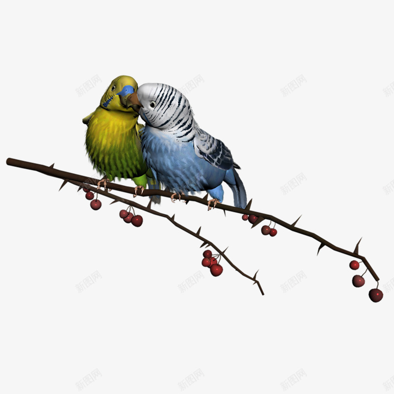 精致漂亮的鸟png免抠素材_新图网 https://ixintu.com PNG 免费PNG 小鸟 手绘 艺术