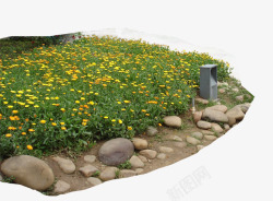 草地绿化素材