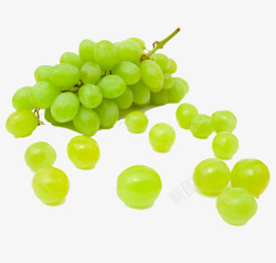 水果青葡萄素材
