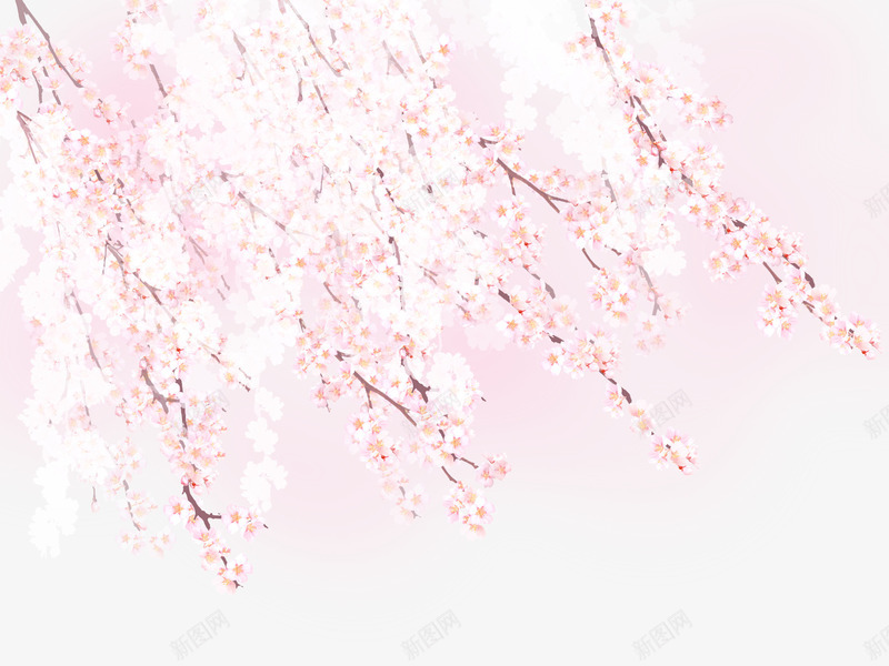 浪漫樱花花朵图案png免抠素材_新图网 https://ixintu.com 卡通花朵 日式花朵图案 植物花朵 樱花 粉色花朵 花卉